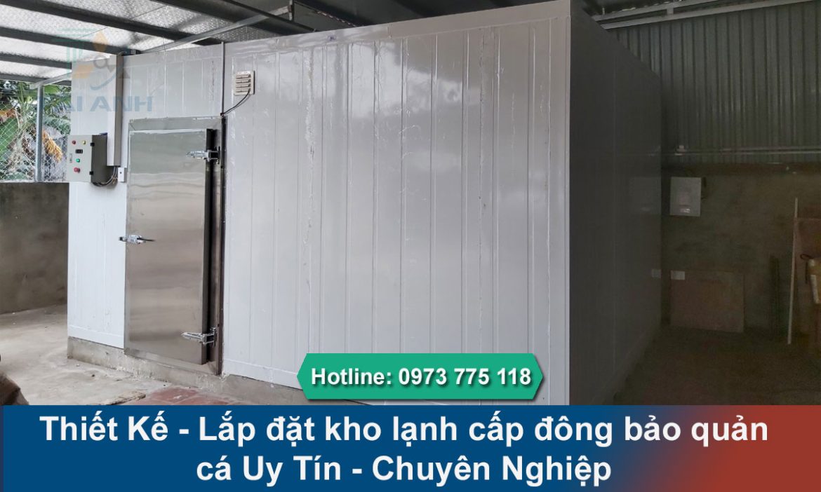 Lắp đặt kho lạnh cấp đông bảo quản cá Uy Tín