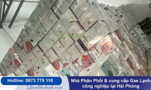 Nhà Phân Phối & cung cấp Gas Lạnh công nghiệp tại Hải Phòng